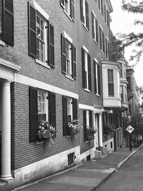Black and white photograph of a multi-storey residential building with brick exterior walls, featuring multiple windows with open shutters and window boxes filled with blooming flowers. The building h